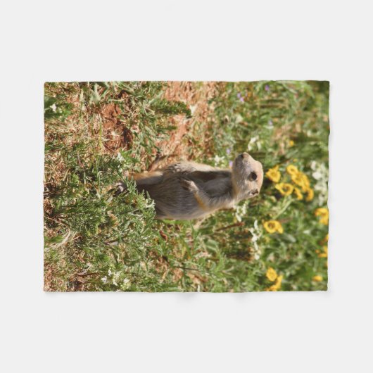 Adorable Prairie Dog Fleecedecke (Vorderseite (Horizontal))