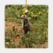 Adorable Prairie Dog Keramikornament (Rückseite)
