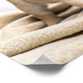 Adorable pug puppy poster (Ecke)