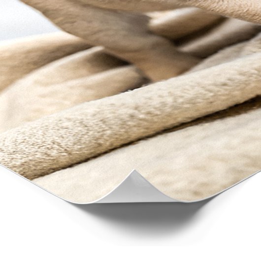 Adorable pug puppy poster (Ecke)