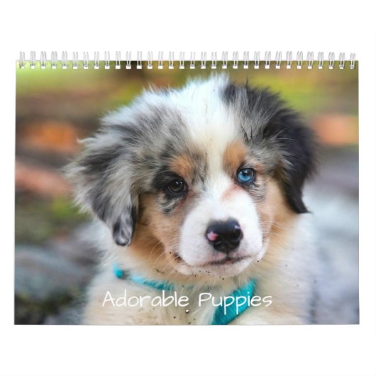 Adorable Puppies 2026 Cute Dog Kalender (Titelbild)