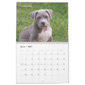 Adorable Puppies 2026 Cute Dog Kalender (Mär 2027)