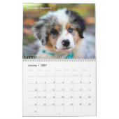 Adorable Puppies 2026 Cute Dog Kalender (Jan 2027)
