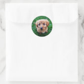 Adorable Puppy Classic Foto Runder Aufkleber (Tasche)
