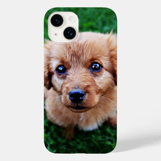 Adorable Puppy Cute Photo  Case-Mate iPhone Hülle (Rückseite)