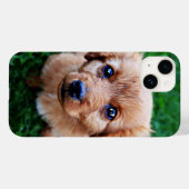 Adorable Puppy Cute Photo  Case-Mate iPhone Hülle (Rückseite (Horizontal))