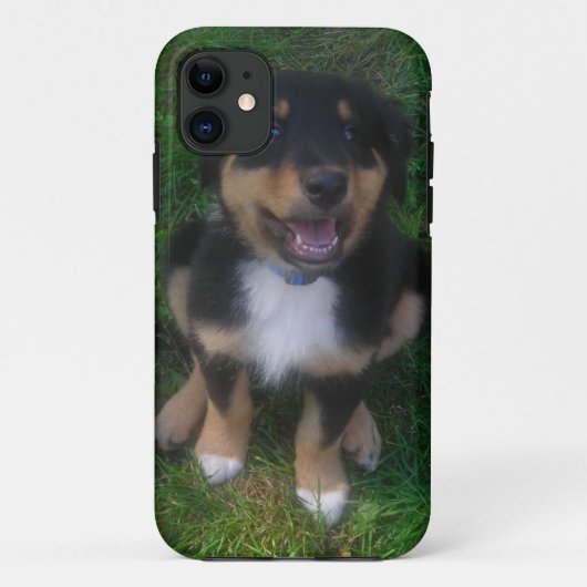 Adorable Puppy iPhone 5 Fall Case-Mate iPhone Hülle (Rückseite)
