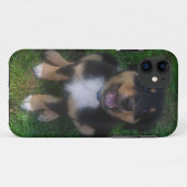 Adorable Puppy iPhone 5 Fall Case-Mate iPhone Hülle (Rückseite (Horizontal))