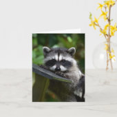 Adorable Raccoon Baby! Karte (Gelbe Blume)