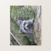 Adorable Raccoon im Forest Jigsaw Puzzle (Vertikal)