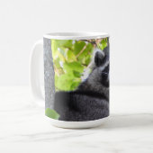 Adorable Raccoon in einem Baum Kaffeetasse (Vorderseite Links)