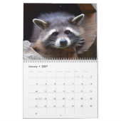 Adorable Raccoons 2026 Kalender (Jan 2027)