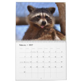 Adorable Raccoons 2026 Kalender (Feb 2027)