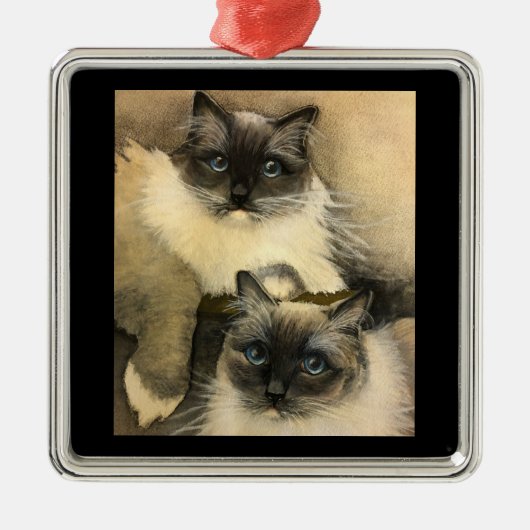 Adorable Ragdoll Katzen mit hellblauen Augen Ornament Aus Metall (Vorne)