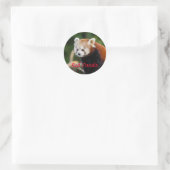 Adorable Red Panda Foto Runder Aufkleber (Tasche)