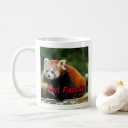 Adorable Red Panda Fotografie Kaffeetasse