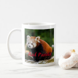 Adorable Red Panda Fotografie Kaffeetasse