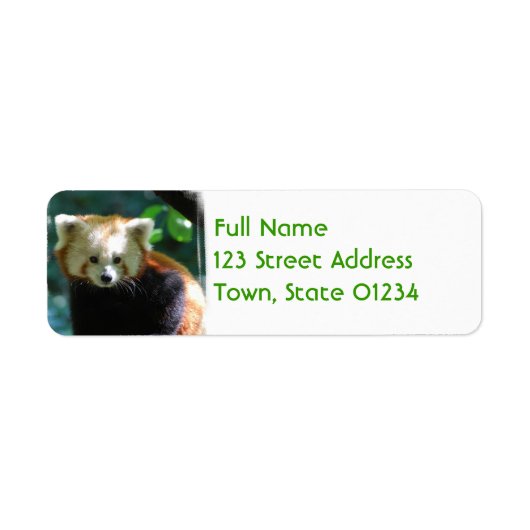 Adorable Red Panda Mailing Labels (Vorne)