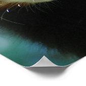 Adorable Red Panda Poster (Ecke)