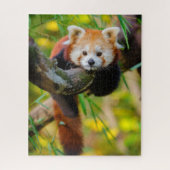 Adorable Red Panda Puzzle (Vertikal)