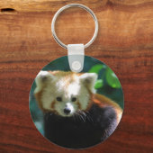 Adorable Red Panda Schlüsselanhänger (Vorderseite)