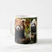 Adorable Red Panda Tasse - Panda Roux Animal Foto (Vorderseite Links)