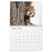 Adorable Red Pandas 2026 Kalender (Feb 2026)