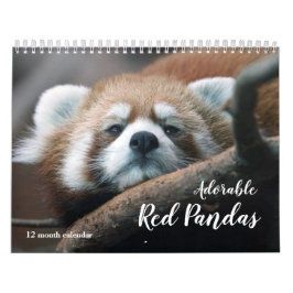 Adorable Red Pandas 2026 Kalender