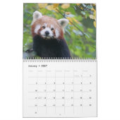 Adorable Red Pandas 2026 Kalender (Jan 2027)