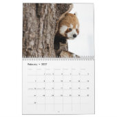 Adorable Red Pandas 2026 Kalender (Feb 2027)