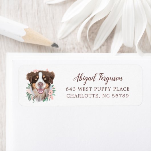 Adorable Red Tri Aussie mit Blume (Insitu)