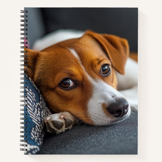 Adorable Resting Dog Notebook Notizblock (Vorderseite)