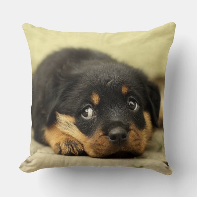 Adorable Rottweiler Puppy Kissen (Vorderseite)