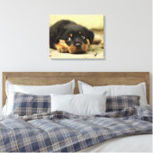 Adorable Rottweiler Puppy Leinwanddruck (Insitu (Schlafzimmer))