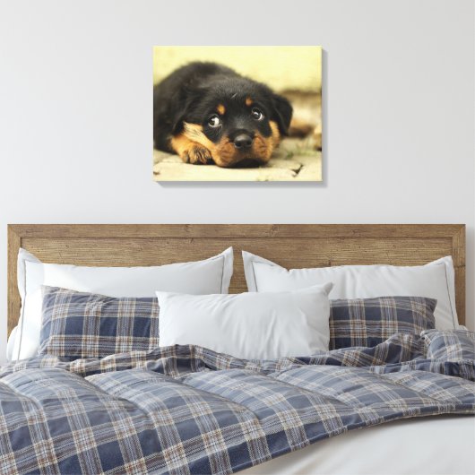 Adorable Rottweiler Puppy Leinwanddruck (Insitu (Schlafzimmer))