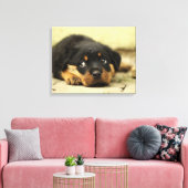 Adorable Rottweiler Puppy Leinwanddruck (Insitu (Wohnzimmer))