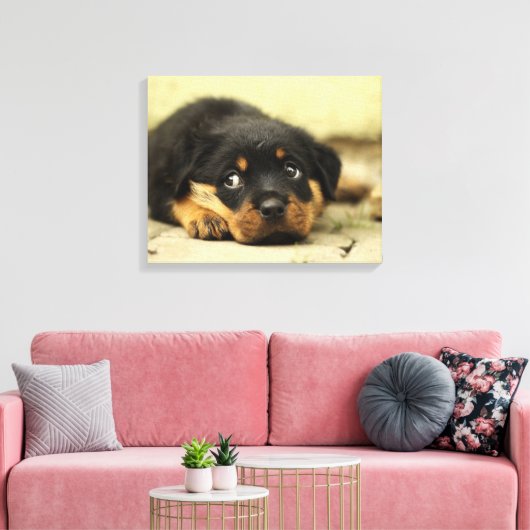 Adorable Rottweiler Puppy Leinwanddruck (Insitu (Wohnzimmer))