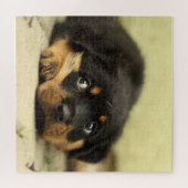 Adorable Rottweiler Puppy Puzzle (Horizontal)