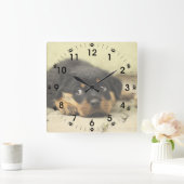 Adorable Rottweiler Puppy Quadratische Wanduhr (Zuhause)