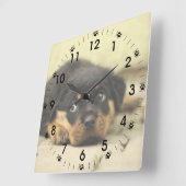 Adorable Rottweiler Puppy Quadratische Wanduhr (Winkel)