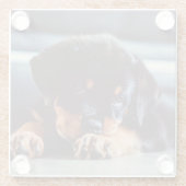 Adorable Rottweiler Welpenschweif Glasuntersetzer (Rückseite)