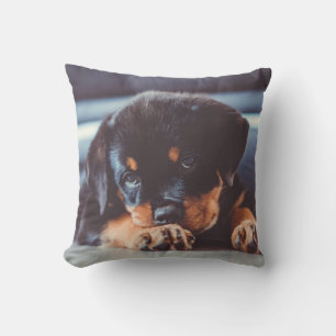 Adorable Rottweiler Welpenschweif Kissen