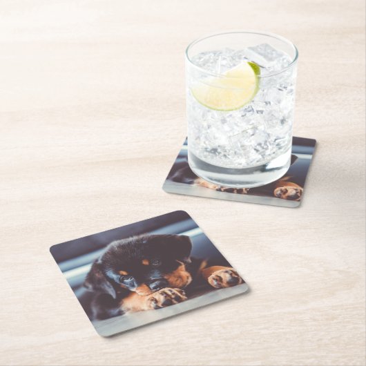 Adorable Rottweiler Welpenschweif Rechteckiger Pappuntersetzer (Vor Ort)