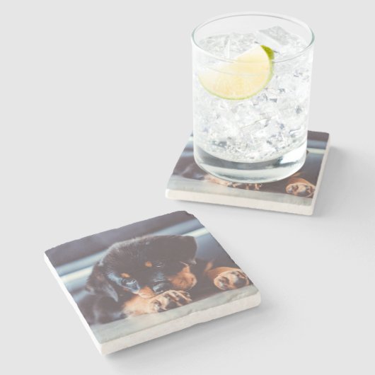 Adorable Rottweiler Welpenschweif Steinuntersetzer (Seitenansicht)