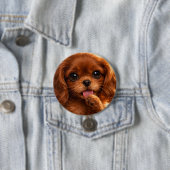Adorable Ruby Cavalier Spaniel Button (Beispiel)
