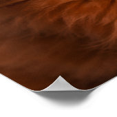 Adorable Ruby Cavalier Spaniel Poster (Ecke)