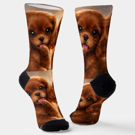 Adorable Ruby Cavalier Spaniel Socken (Gewinkelt)