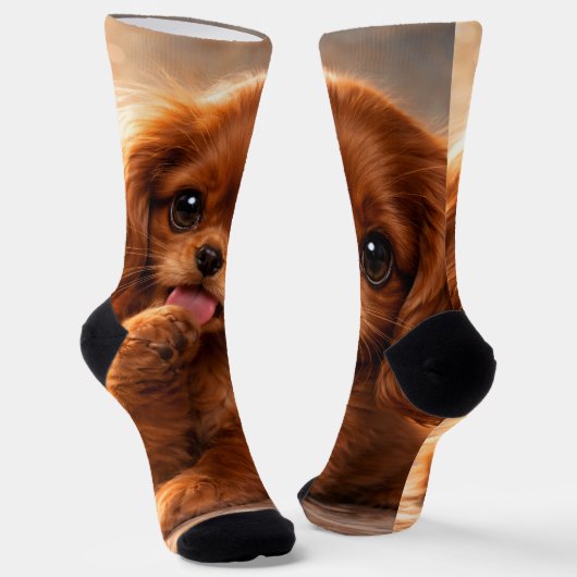 Adorable Ruby Cavalier Spaniel Socken (Gewinkelt)
