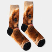 Adorable Ruby Cavalier Spaniel Socken (Rechts)