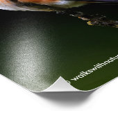 Adorable Rufous Hummingbird auf dem Zweig Fotodruck (Ecke)